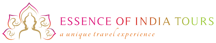 Essence of India Tours